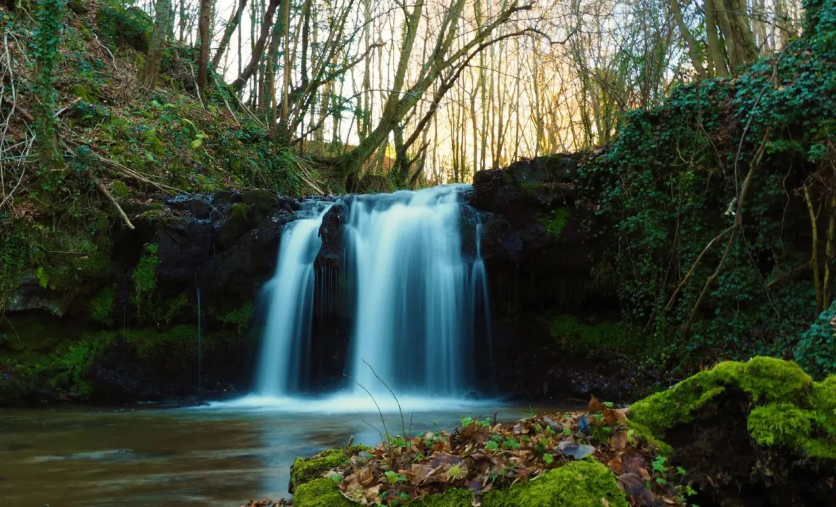 A waterfall falling into a pool in a mossy forest, the photo used for the partial-motion test