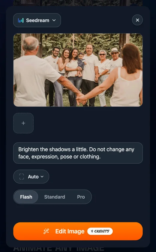 The Edit sheet open over the generator, with the Seedream model, the family photo, and the prompt: Brighten the shadows a little. Do not change any face, expression, pose or clothing.