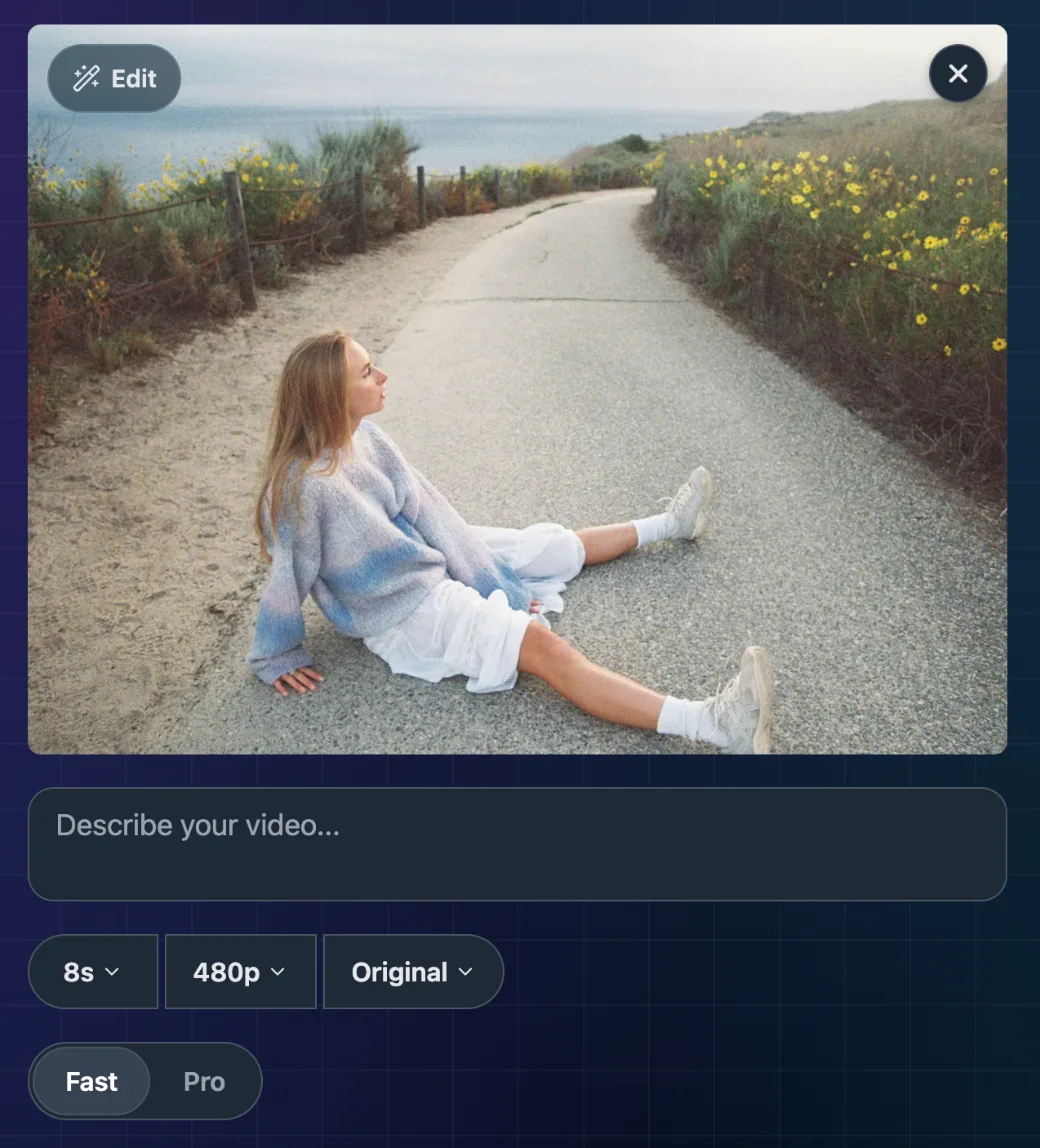 Video duration, resolution, aspect ratio and Fast or Pro controls