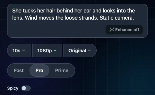 Wan Pro on Photo to Video: the prompt box, with duration, resolution and aspect ratio set separately below it